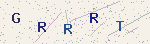 Security code image